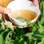 Infusion of nettles